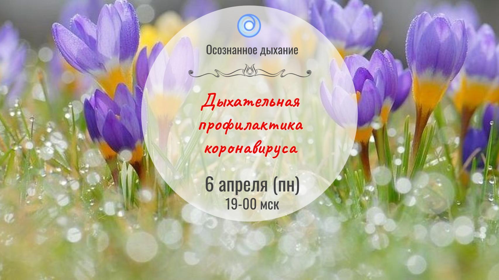 instr.odyhanie.ru