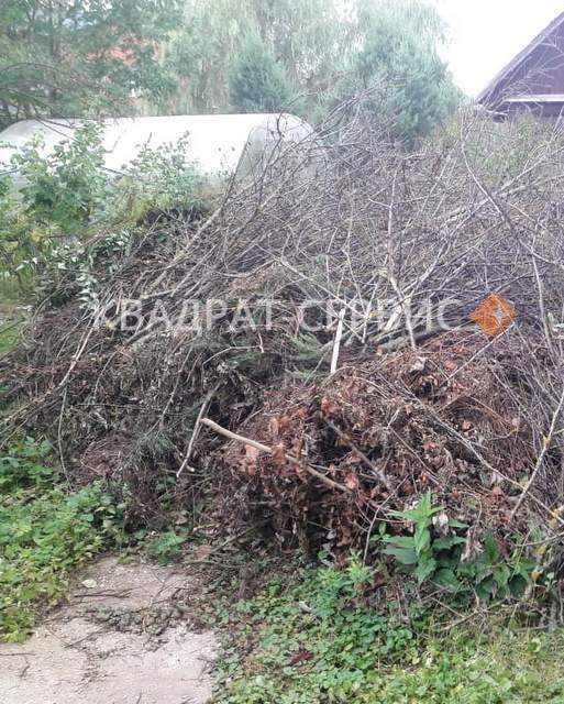 Ветки и древесные остатки Ветки и древесные остатки после уборки территории частного дома