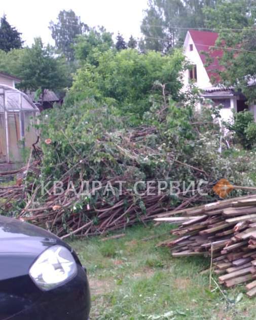 Древесные отходы после расчистки территории Древесные отходы после расчистки территории в Нефедьево