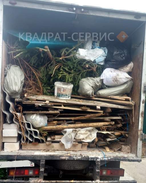 Вывоз деревьев и хлама Вывоз старых деревьев и хлама Газелью в Малаховке