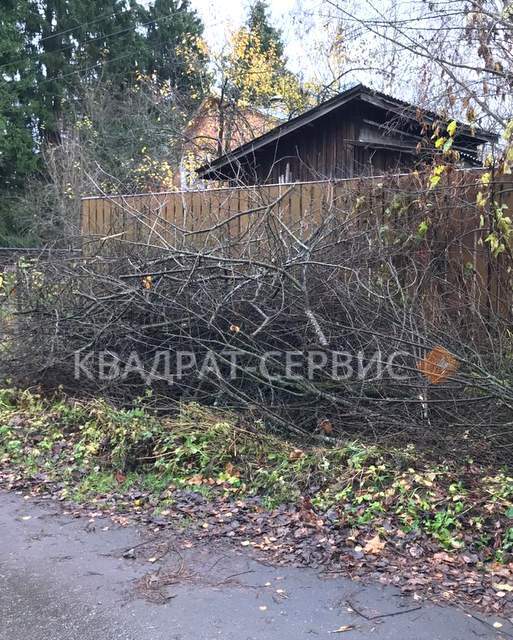 Древесные отходы Древесные отходы после расчистки территории в Чупряково