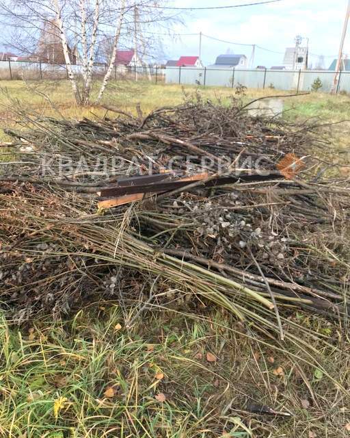 Древесные отходы Древесные отходы после расчистки участка в Жуковском