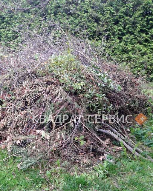 Ветки и древесные остатки Ветки и древесные остатки после расчистки территории частного дома