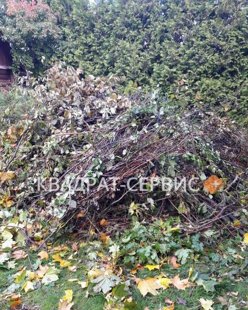 Древесные отходы после расчистки территории Древесные отходы после расчистки территории в Шереметьевском