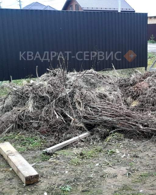 Ветки деревьев Ветки деревьев после расчистки участка в Апрелевке