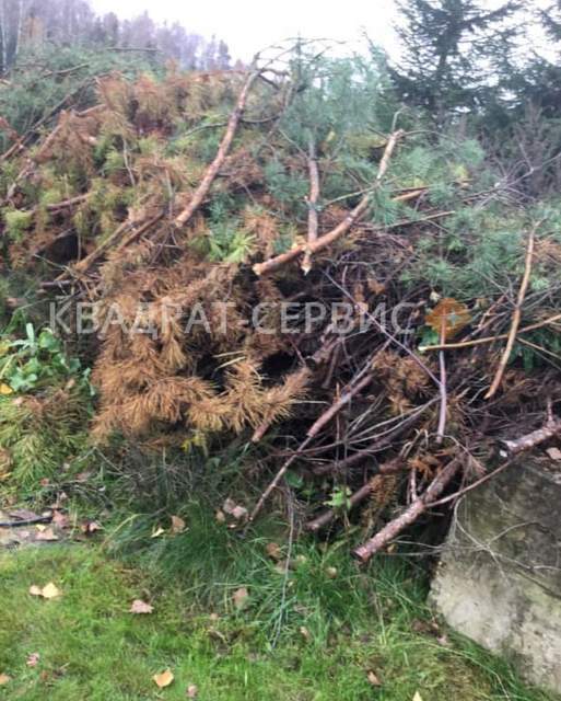 Растительные остатки Растительные остатки после уборки участка