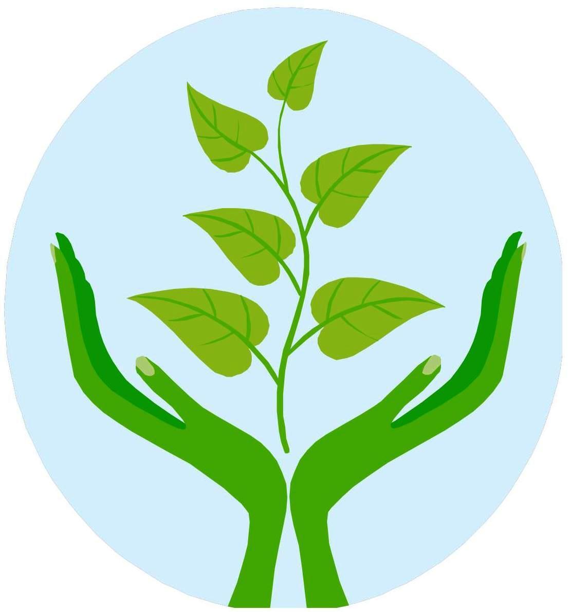 Растение символ