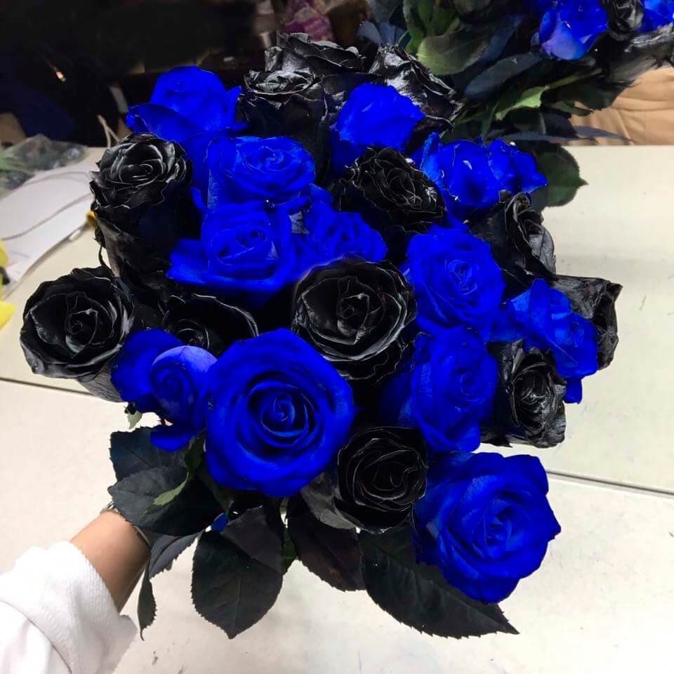 Синие и черные розы