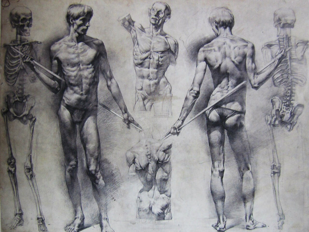 Репина эскиз анатомия Академии художеств