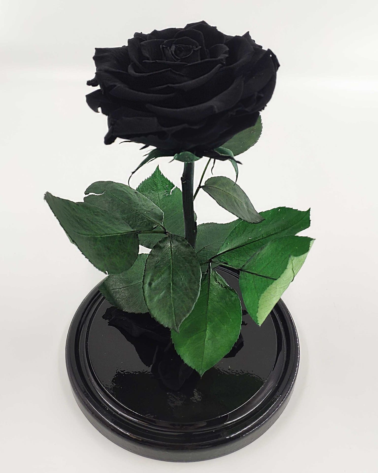 Чёрная роза без колбы