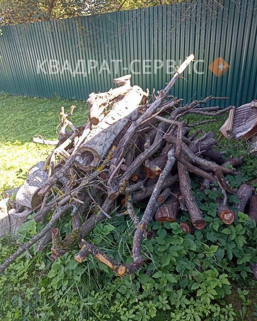 Ветки и спиленные деревья после расчистки