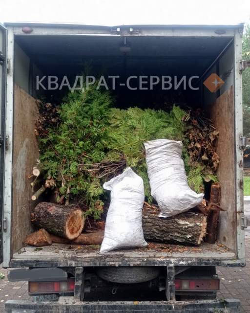 Спиленные деревья и ветки после уборки в Михнево