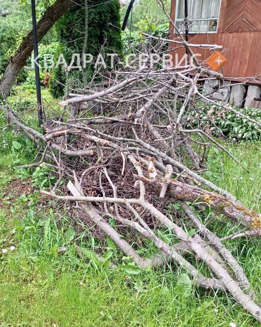 Ветки и древесные остатки после расчистки территории частного дома