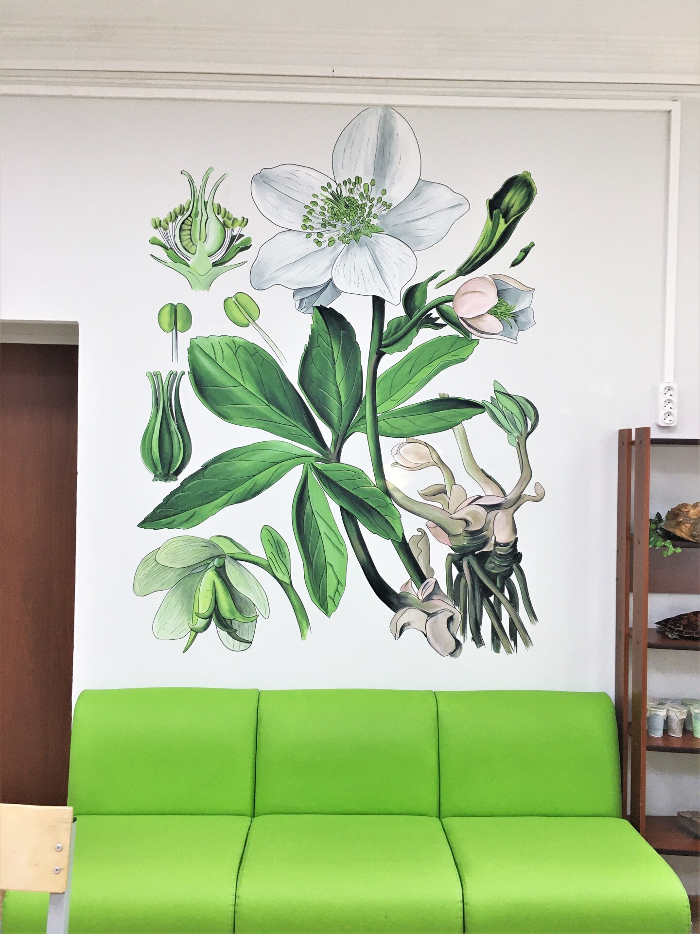 роспись стен в школе