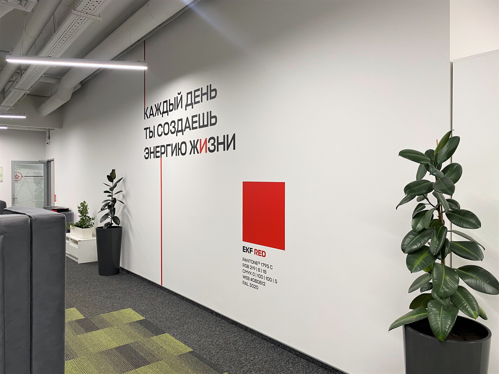 роспись стен в офисе