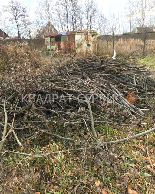 Спиленные ветки и деревья на участке Солнечногорский район картинка