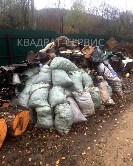 Мусор и спиленные деревья на дачном участке в Королеве картинка