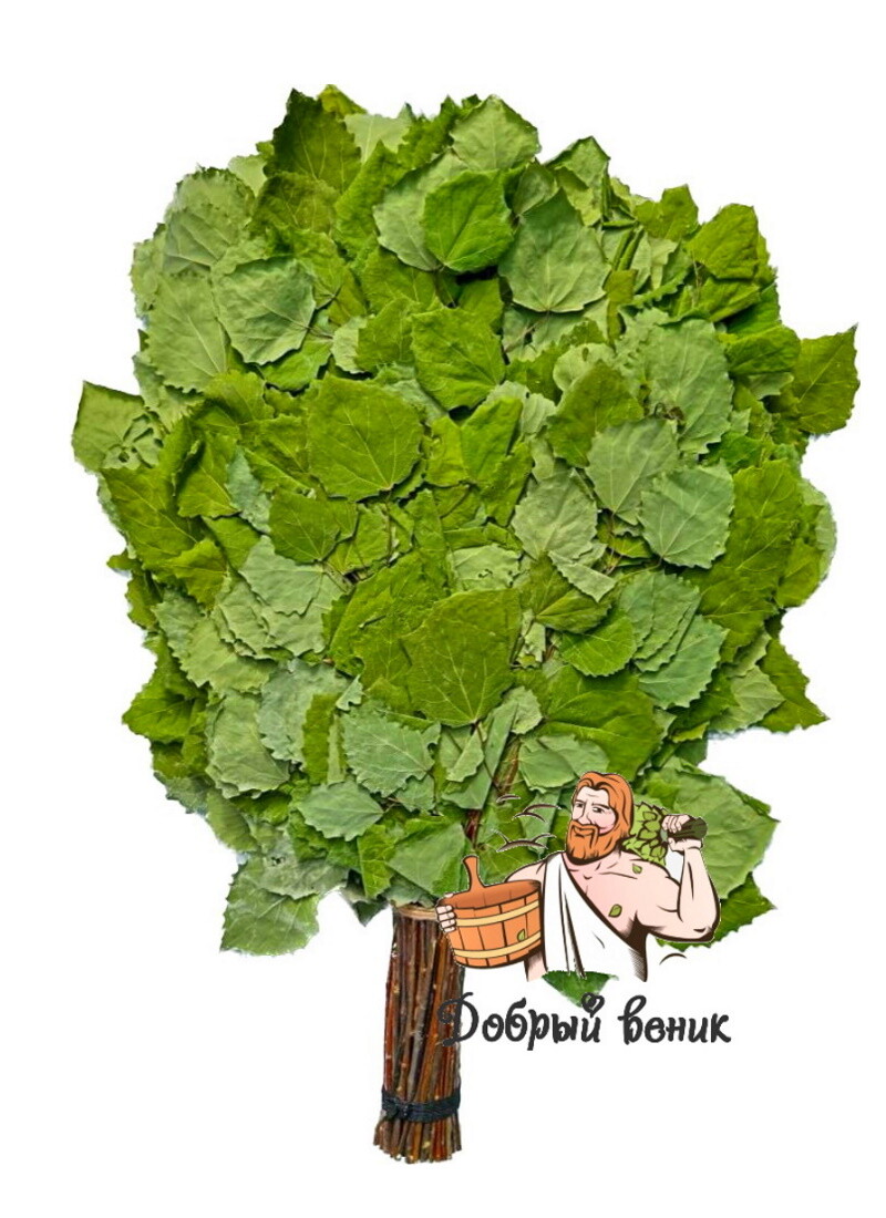 ВЕНИКИ ДЛЯ БАНИ