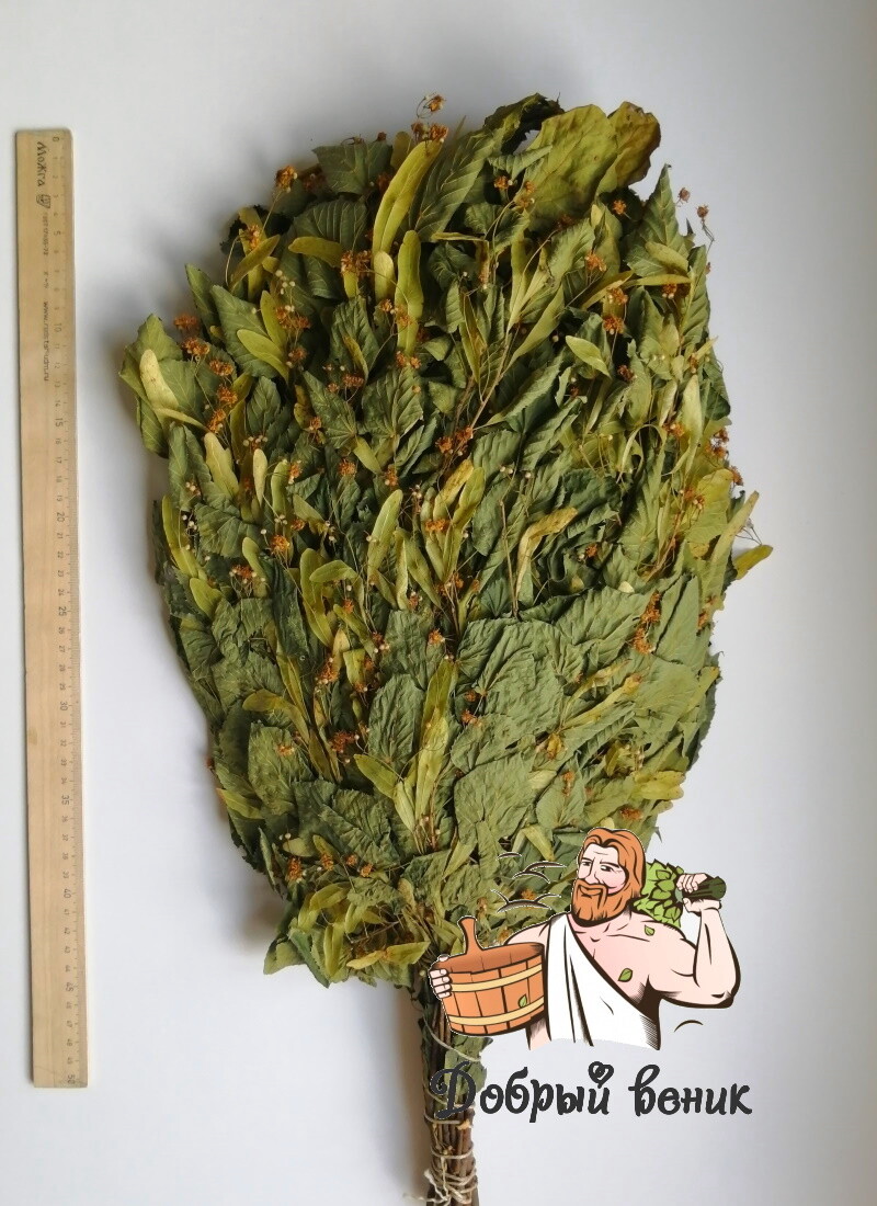 ВЕНИКИ ДЛЯ БАНИ
