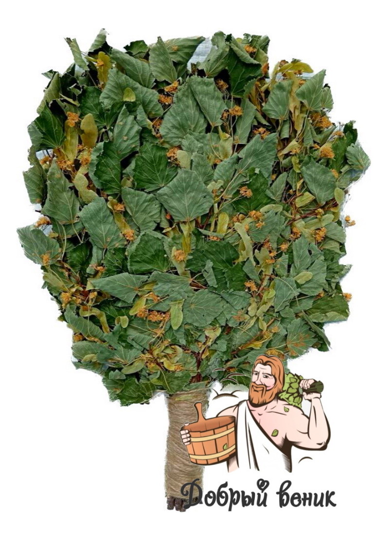 ВЕНИКИ ДЛЯ БАНИ