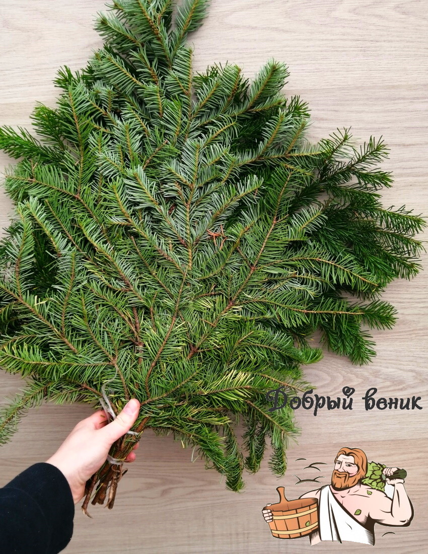 БАННЫЕ ВЕНИКИ