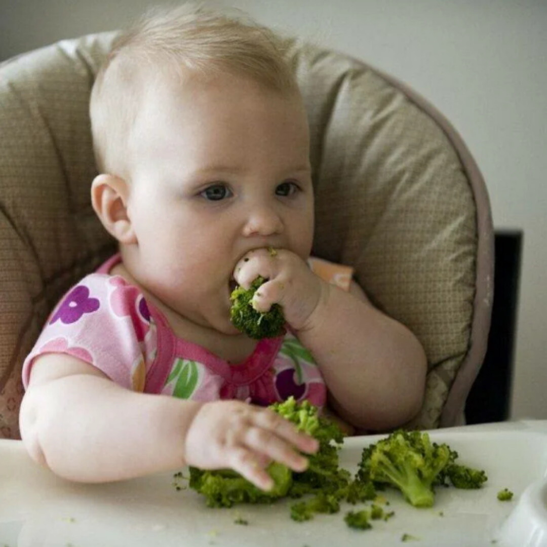 Кусочки в 10 месяцев. Еда для маленьких детей. Прикорм младенца. Овощи для грудничка. Первого прикорма ребенка.